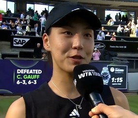 开云体育- 莎拉波娃亚军 